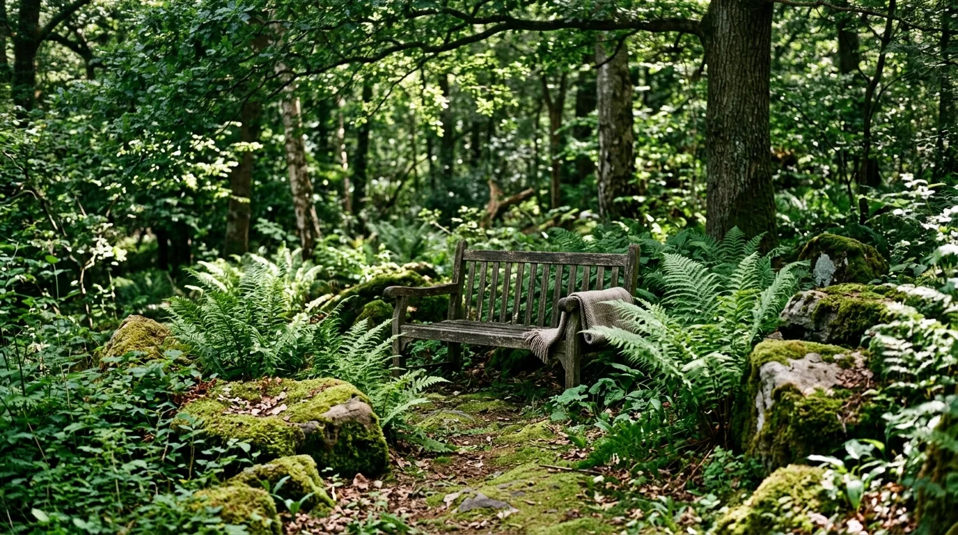 Shaded woodland garden bench surrounded by ferns and moss-covered stones.